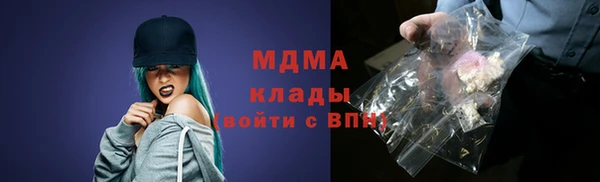 прущие грибы Армянск