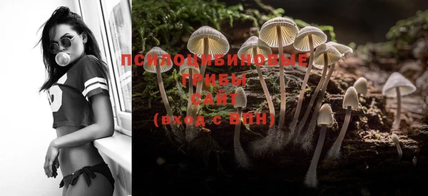 PSILOCYBIN Арсеньев